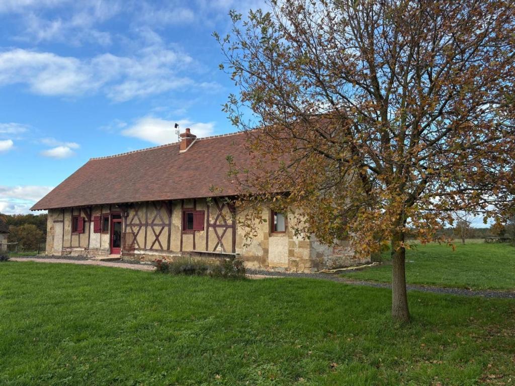a stone house with a tree in front of it at Gîte chaleureux à Chapeau avec jardin et terrasse - FR-1-489-601 in Chapeau