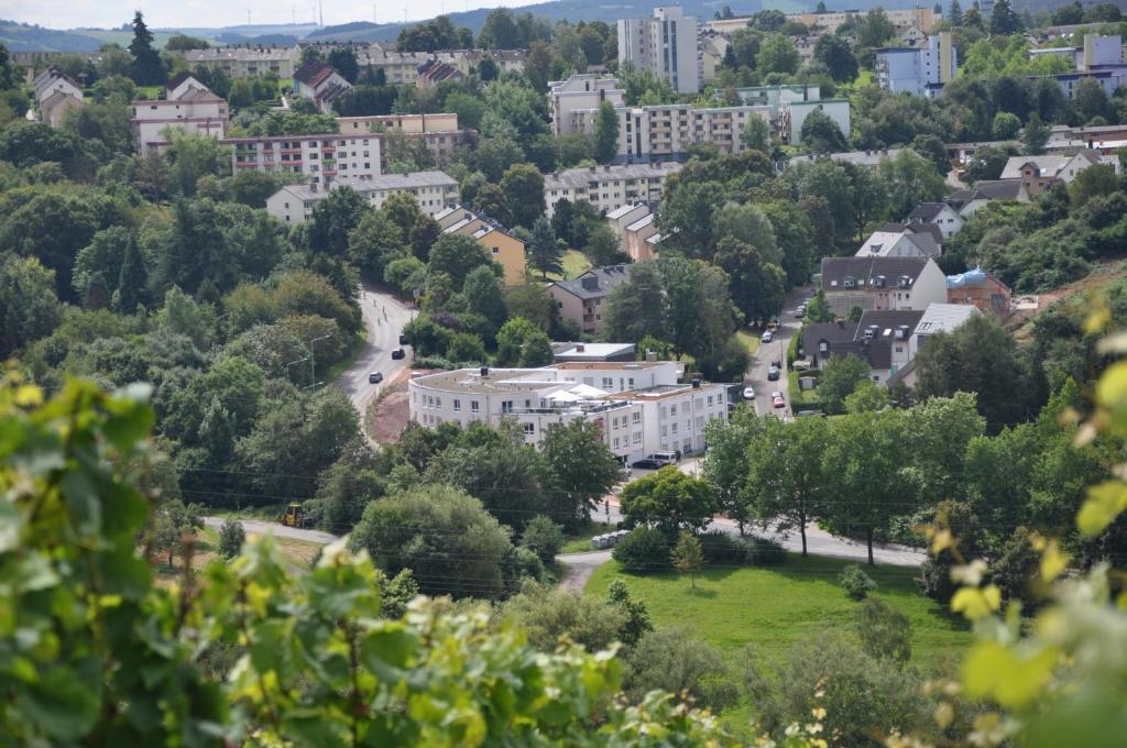 Příroda nedaleko hotelu