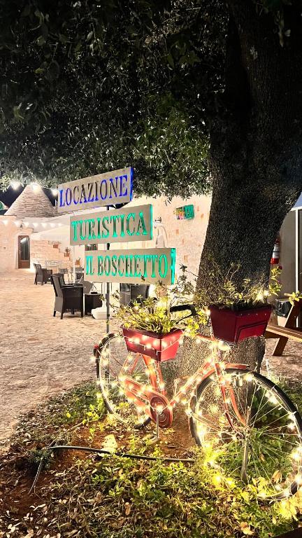 Locazione turistica il boschetto