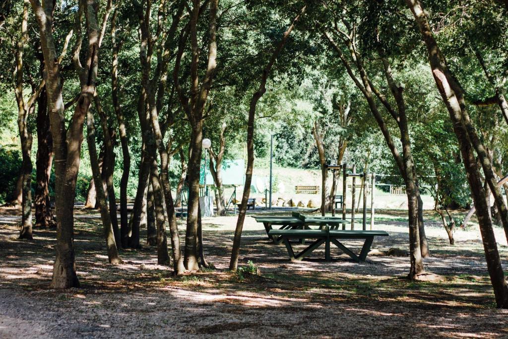 Zahrada ubytování Camping Le Bois Fleuri