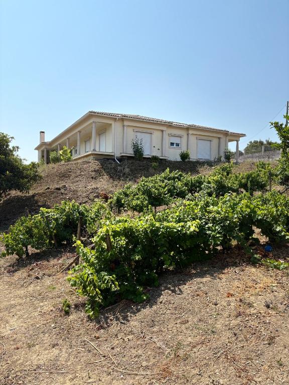 a house on top of a hill with plants at Villa Quinta Dom Reis in Batalha