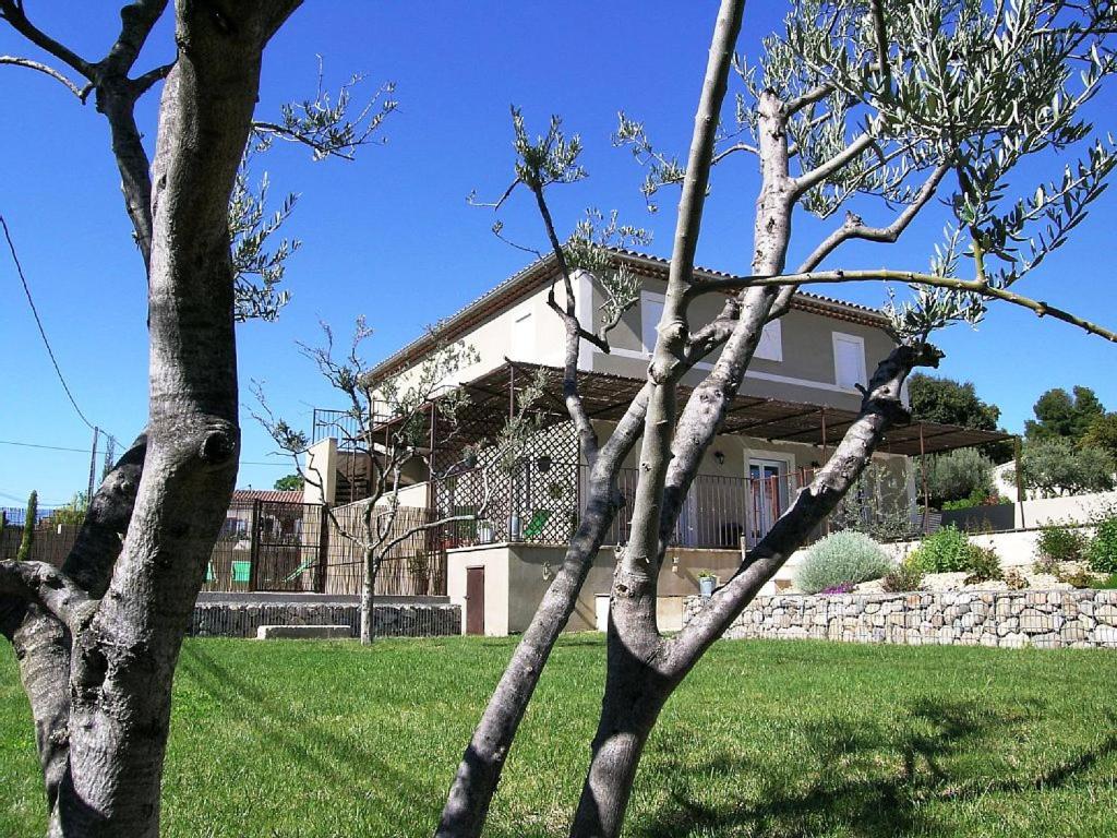 un árbol frente a una casa en un patio en La Bastidelle, en Beaumes-de-Venise