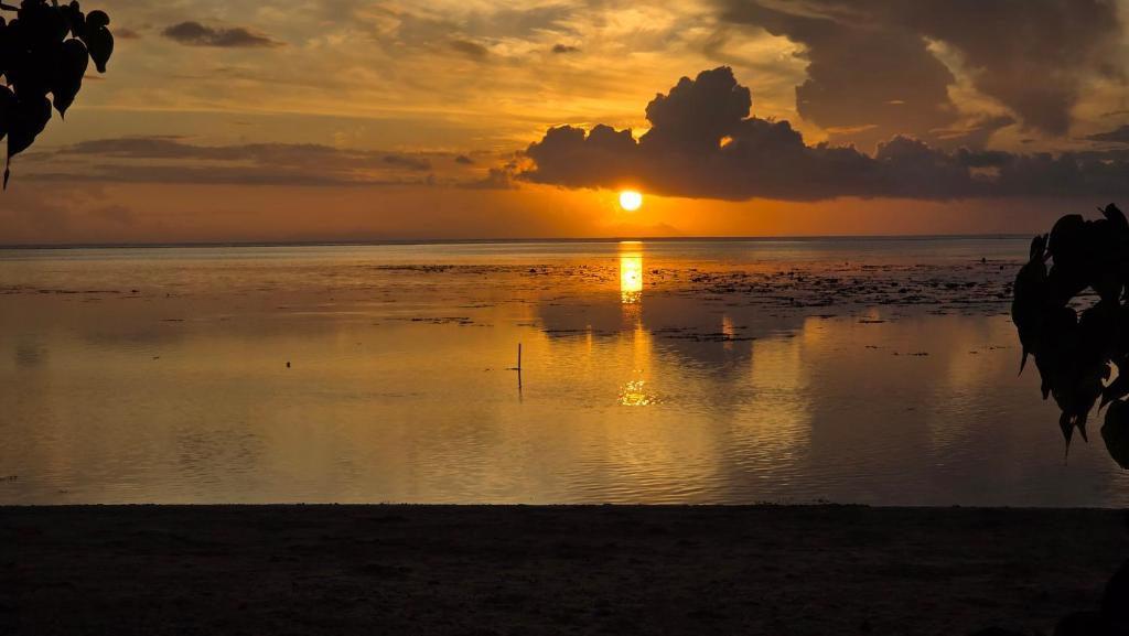 La Maison Plage et Sunset - photo 12 - Moorea, Polynésie