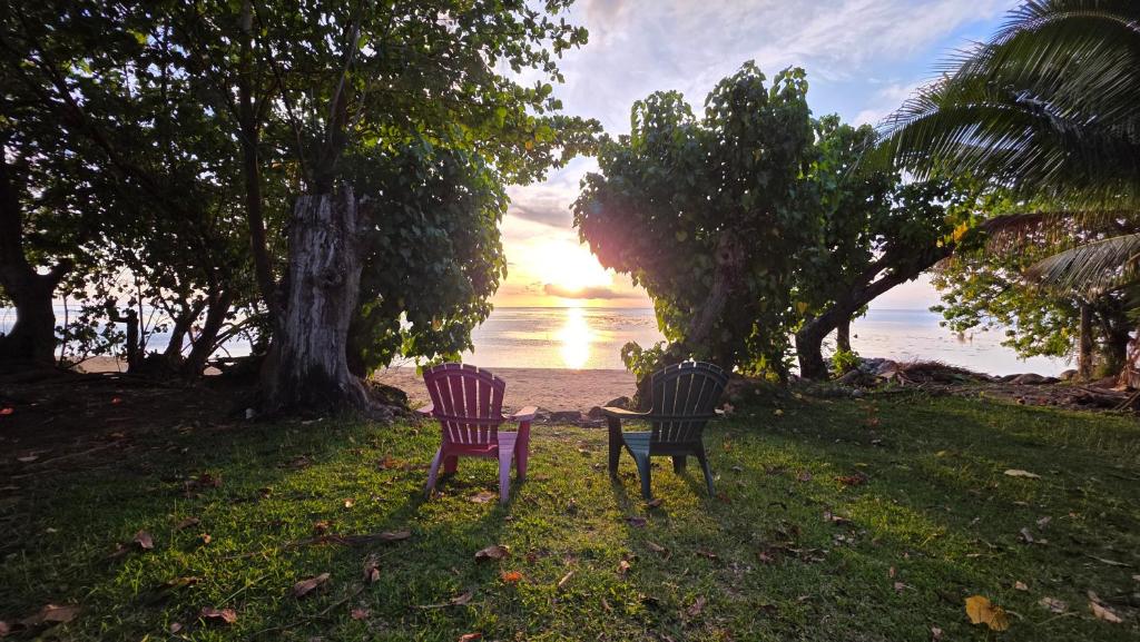 La Maison Plage et Sunset - photo 6 - Moorea, Polynésie