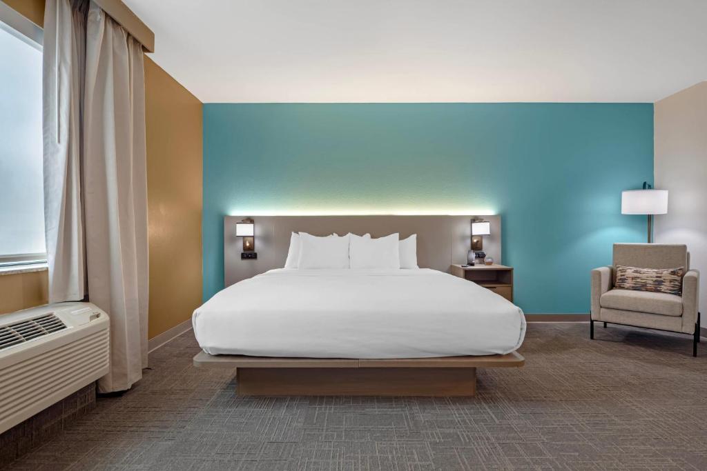 Comfort Suites Lewisburg near University - Suite Con Cama Extragrande - No Fumadores