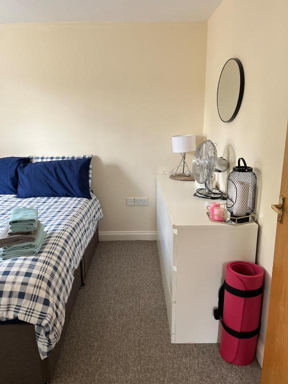 a bedroom with a bed and a dresser with a mirror at Cosy 1 bedroom flat Oxford in Oxford