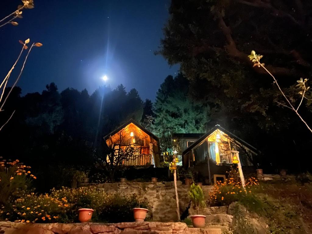 Zahrada ubytování Rumsu Tree House by SLC