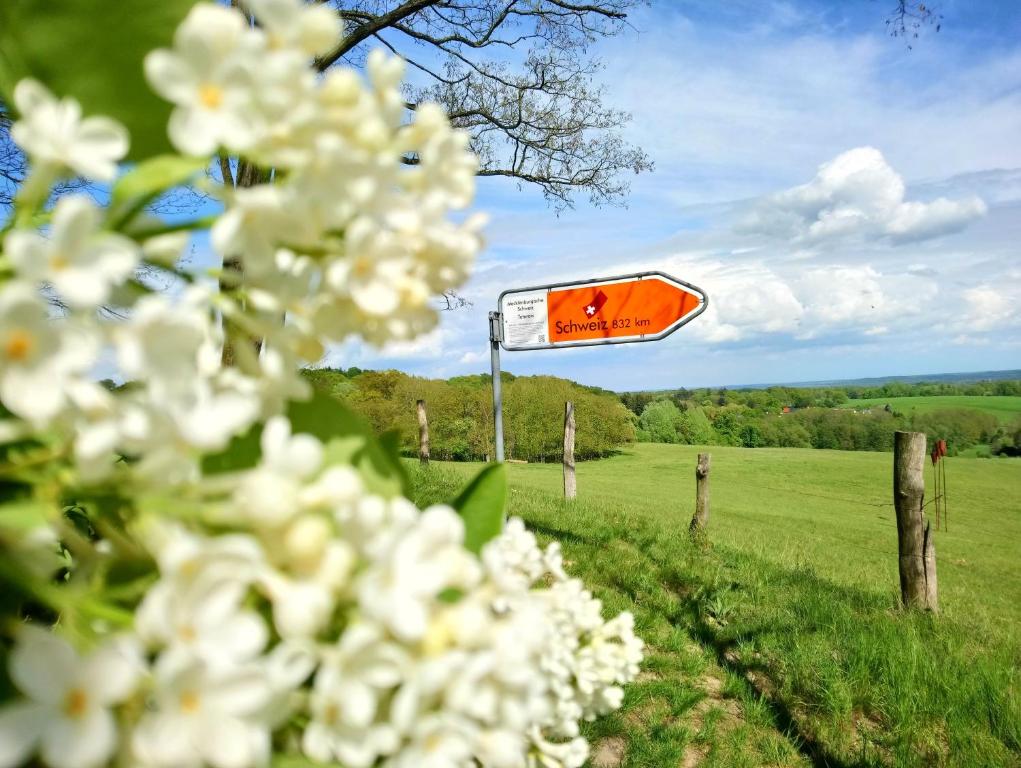 a road sign in a field with white flowers at Bungalow THEA in Langhagen