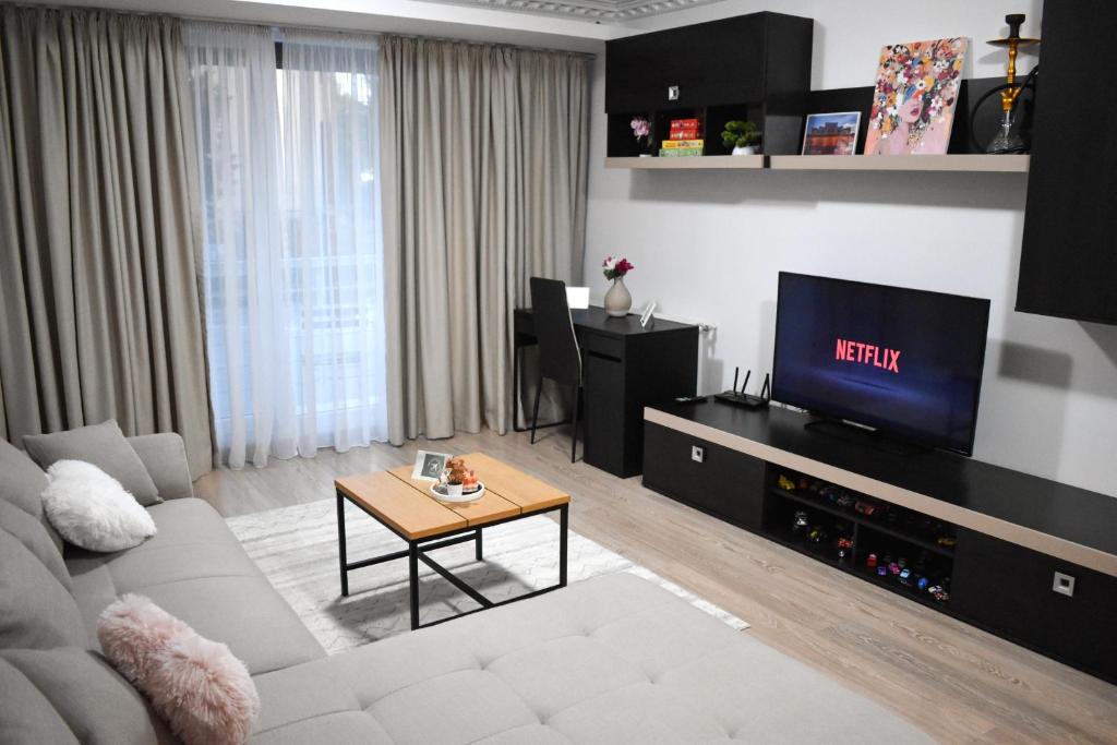 een woonkamer met een bank en een tv bij WRW Airport Residence in Otopeni