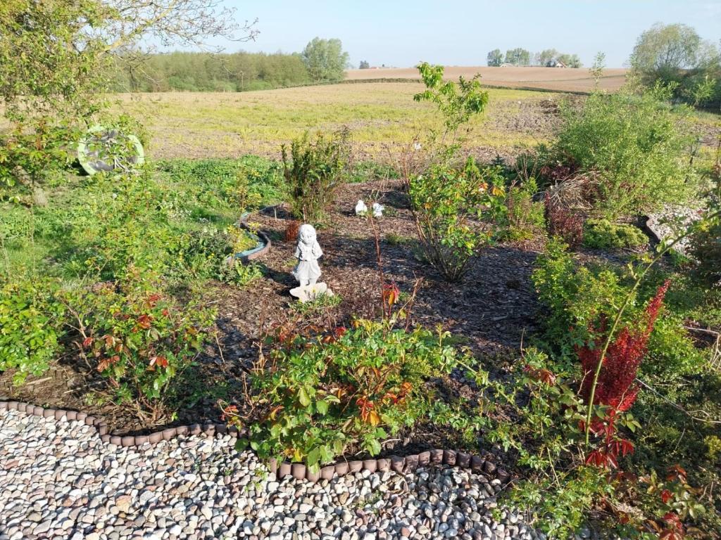 Κήπος έξω από το Dolina dwóch stawów