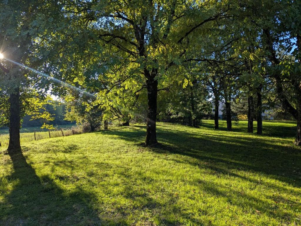 Κήπος έξω από το Domaine De La Sablière