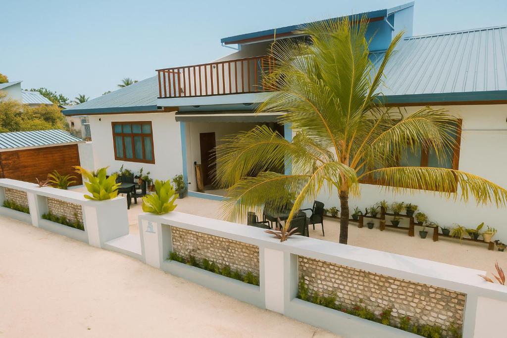 ein Haus mit einer Palme davor in der Unterkunft Blue Coral Vashafaru Maldives in Vashafaru