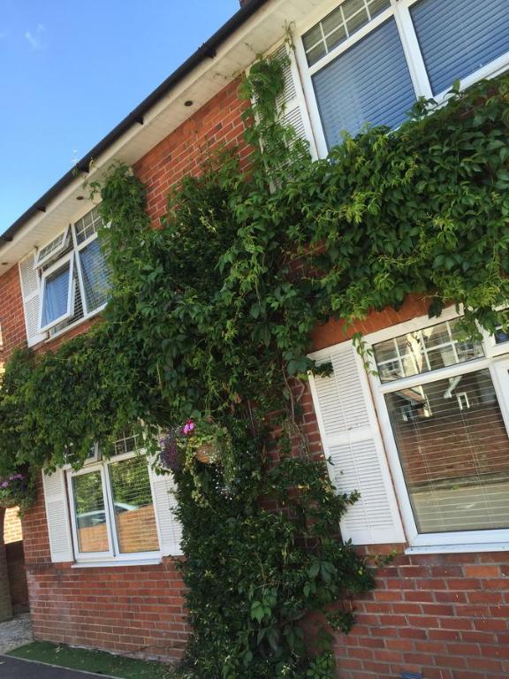 a red brick building with lots of ivy on it at Durlston House in Lymington