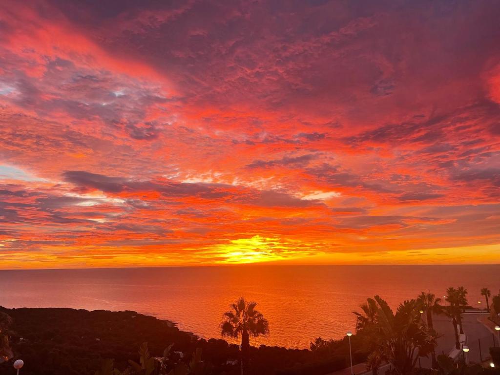 Facing The Sea From A Penthouse Apartment photo