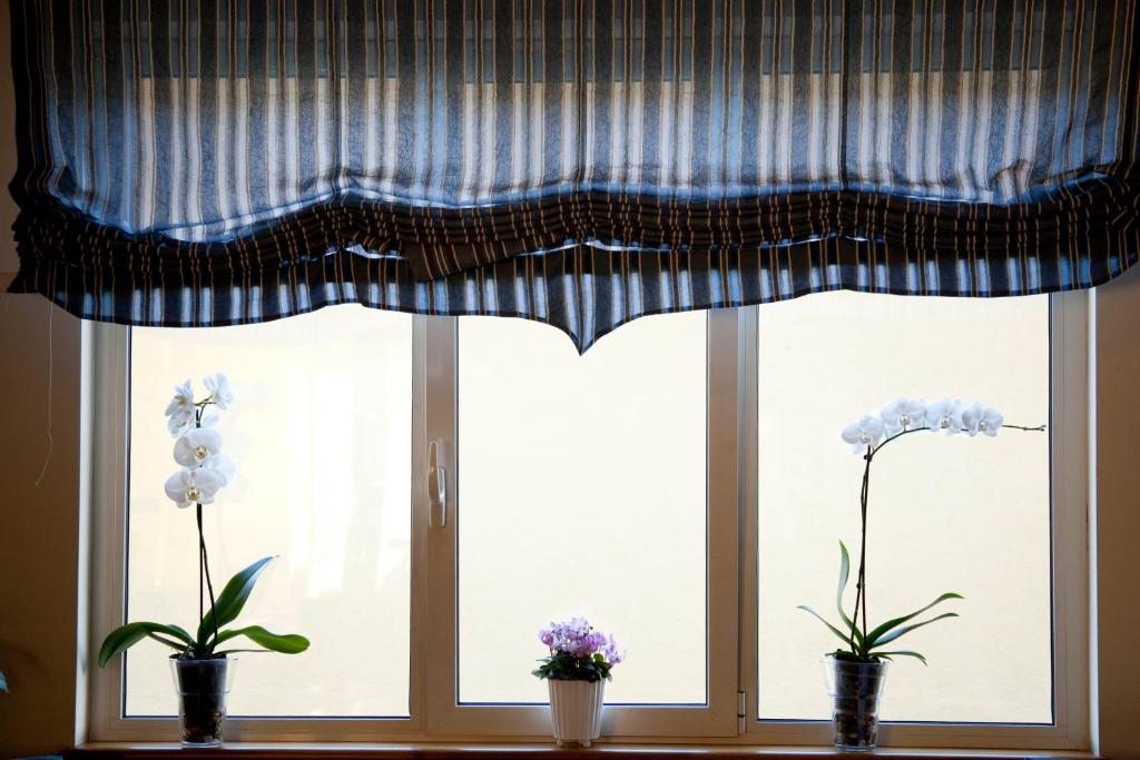 Fotografie z fotogalerie ubytování Albergo Da Benedetta v destinaci Vetralla