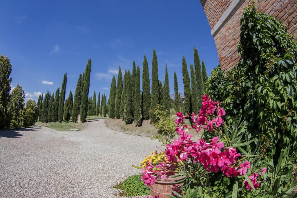 Zahrada ubytování Agriturismo Sant'Alfredo