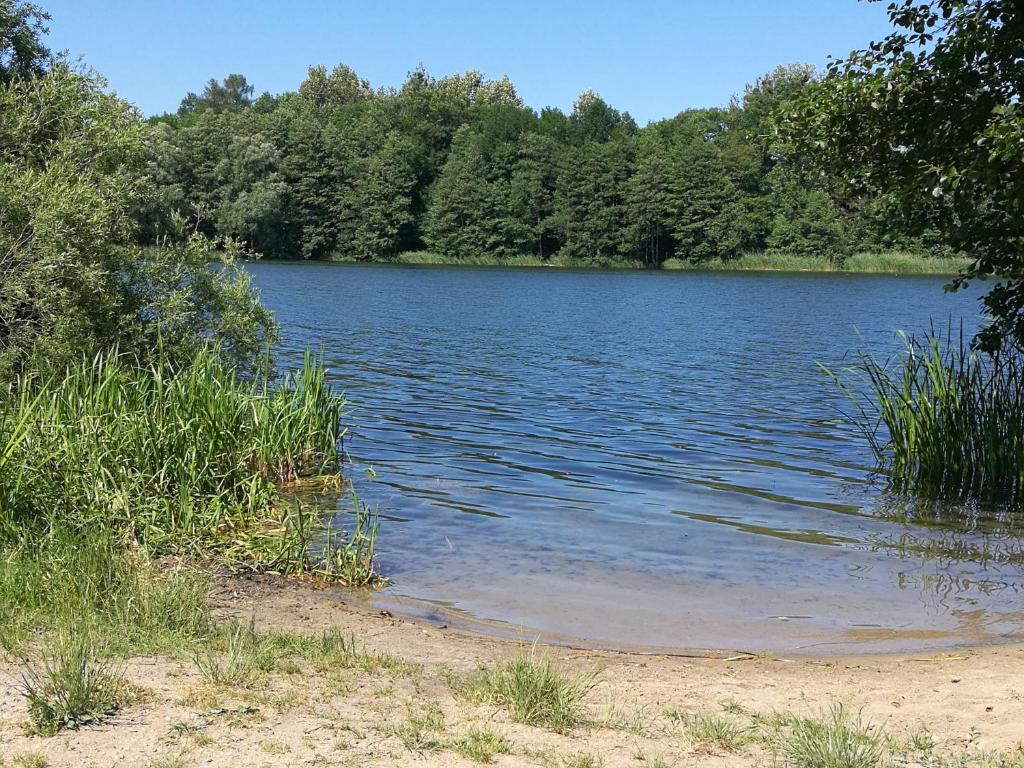 a large body of water with trees in the background at Mieszkanie do wynajęcia in Ostróda