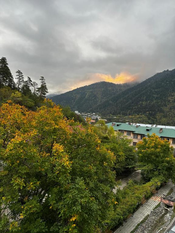 vistas a una ciudad con árboles y un río en Luxury Residence Likani, en Borjomi