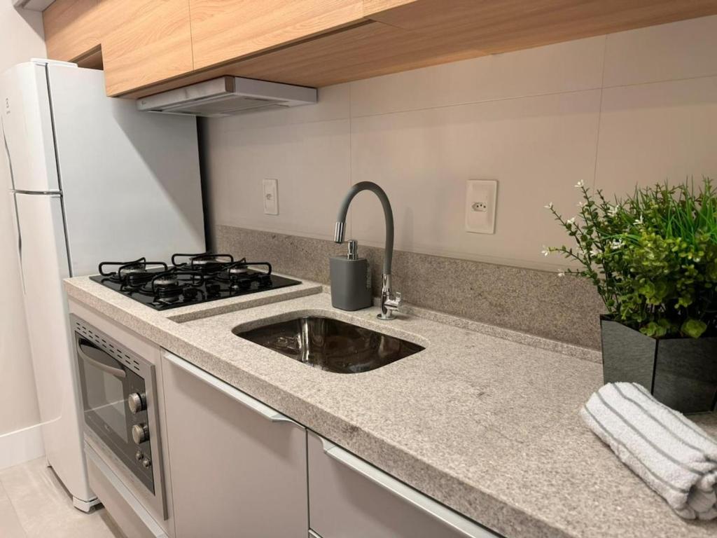 Kuchyň nebo kuchyňský kout v ubytování Apartment in the Pantanal - Near UFSC