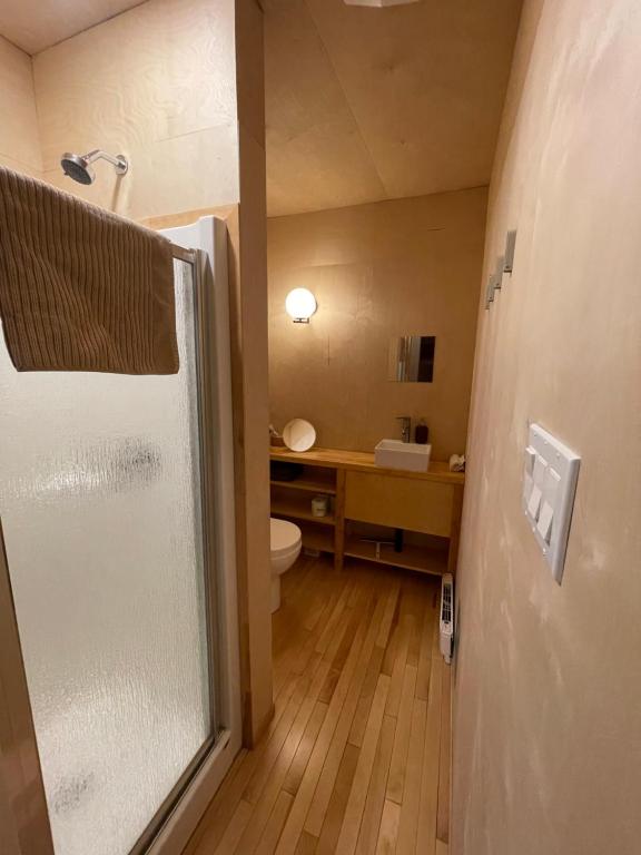 a bathroom with a shower and a toilet at Chalet Mauricie, La Tuque in La Tuque