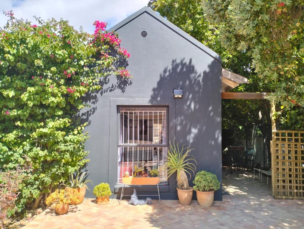 a small house with a window and potted plants at Feet Up Cottage in Somerset West