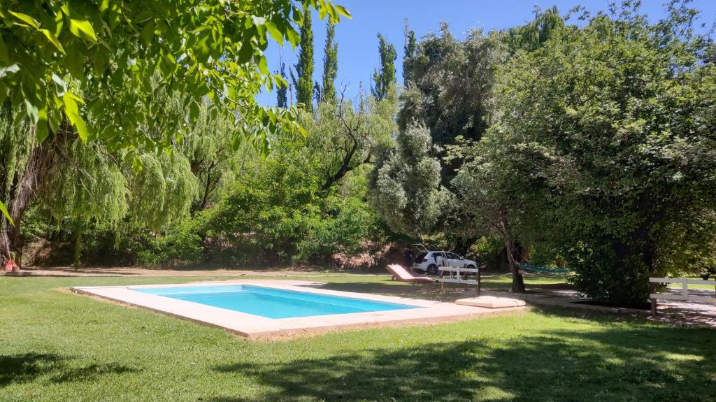 a swimming pool in a yard with trees at Hostel Barreal in Barreal