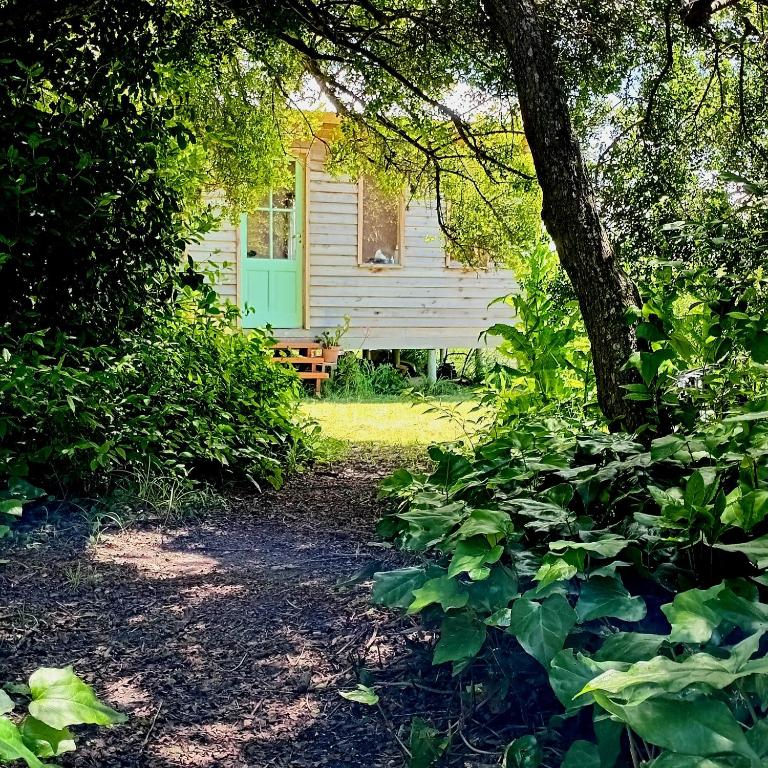 a white house with a blue door and a tree at Cabaña entre molles in Punta Indio