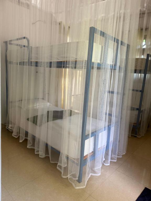 Hive Ella - Hostel - 14