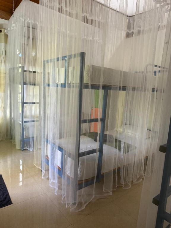 Hive Ella - Hostel - 16