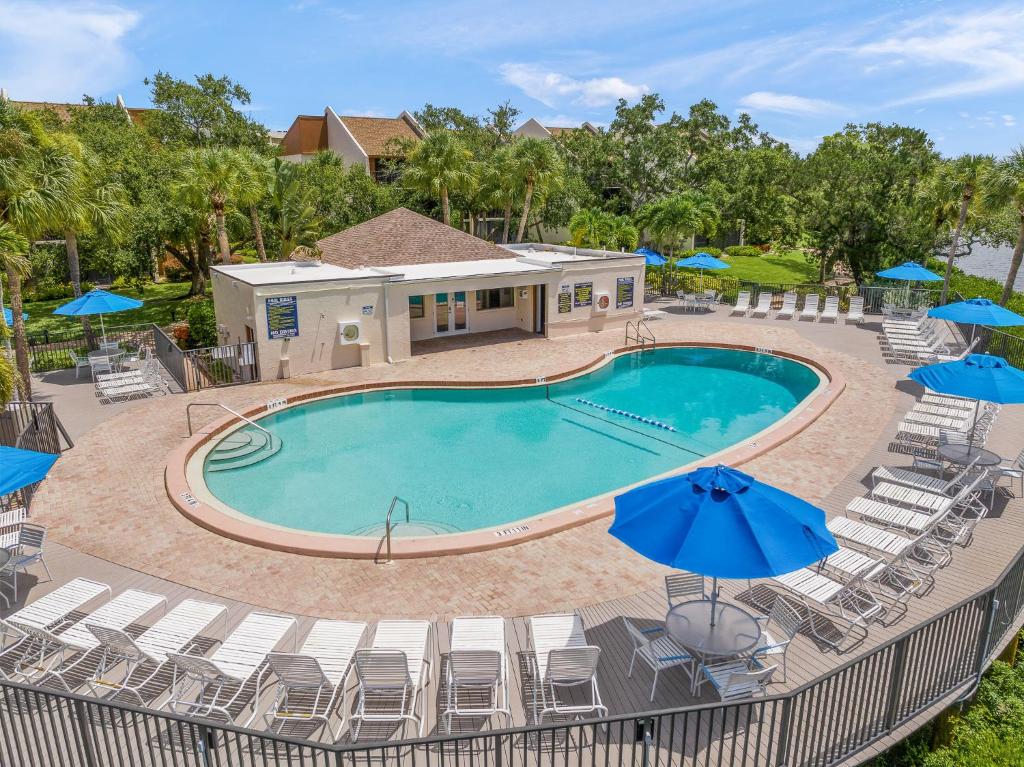 an overhead view of a swimming pool with chairs and umbrellas at Midnight Cove II 128F in Siesta Key