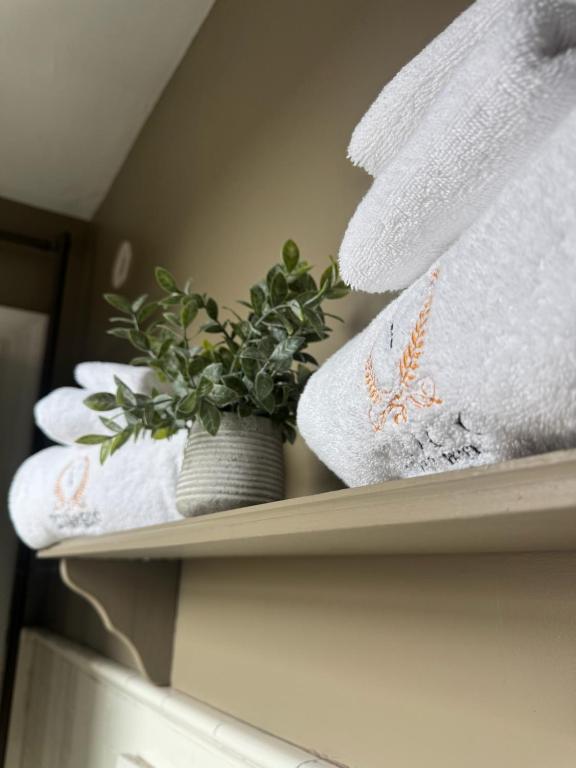 Villagio Boutique Hotel - 双人间