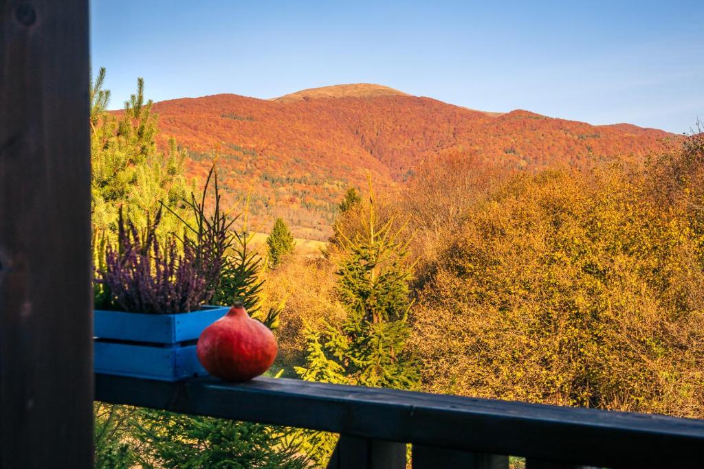 a red apple sitting on a balcony with a view of a mountain at Bieszczadzki Domek z widokiem na połoniny in Wetlina