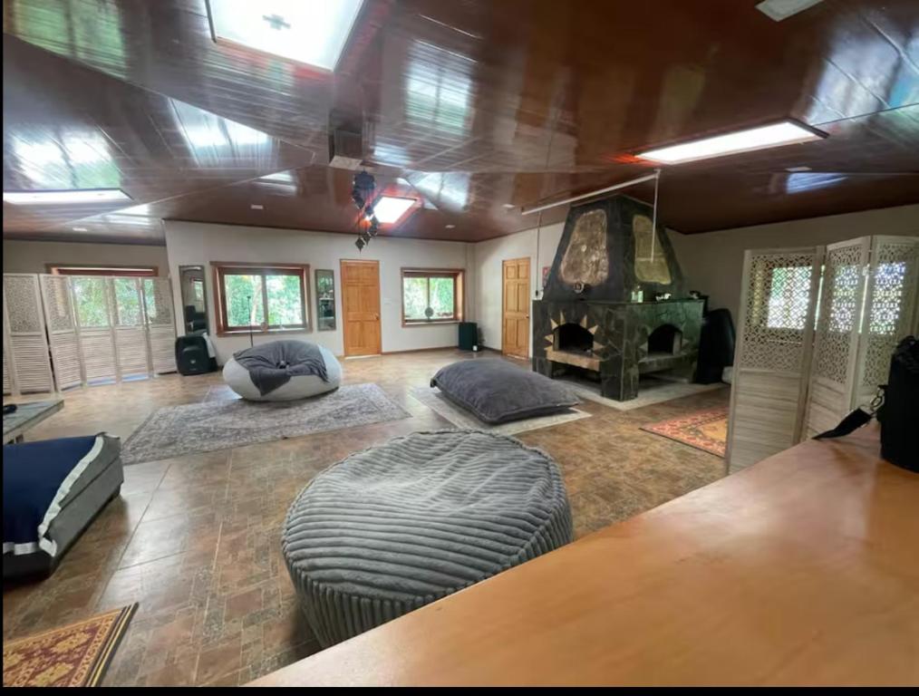 TapantíZen Villa的带沙发和壁炉的大客厅