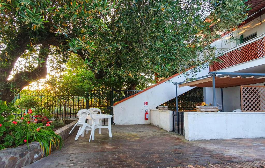 eine Terrasse mit 2 Stühlen und einem Tisch unter einem Baum in der Unterkunft 1 Bedroom Awesome Apartment In Casal Velino in Castellammare di Velia