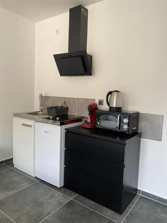 a kitchen with a stove and a microwave on a counter at Modernes 1-Zimmer Apartment mit Küche und Bad in Merzig