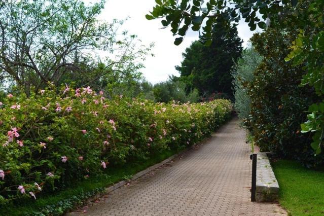 Zahrada ubytování Eurialo Green Suites