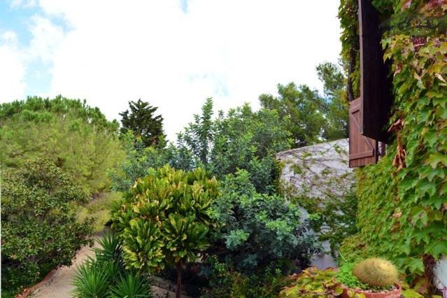 Zahrada ubytování Eurialo Green Suites