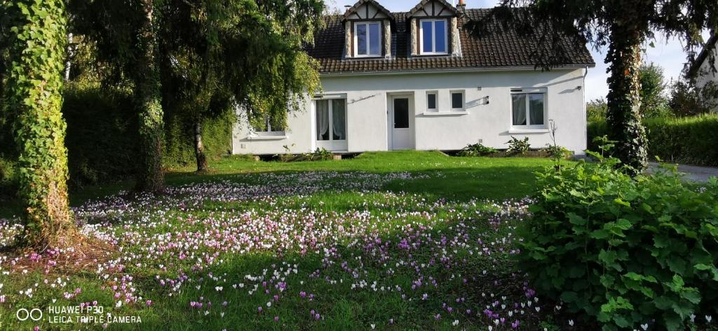 une maison avec un champ de fleurs devant elle dans l'établissement Cosy la Riveraine Cottage, à Saint-Aignan