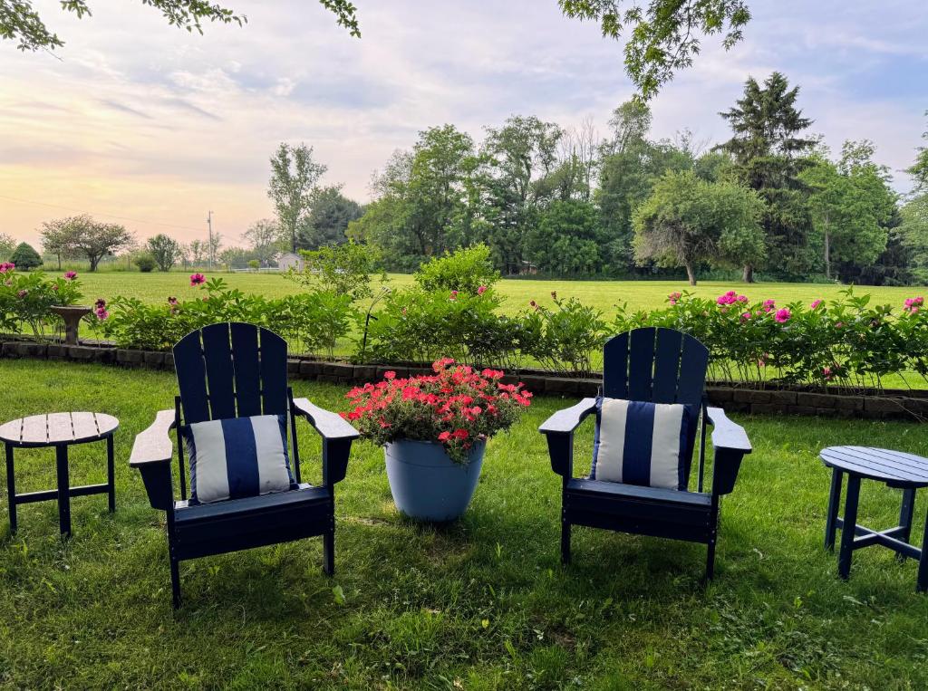 Zahrada ubytování Bbq, Wifi, Full Kitchen, Smarttv, Firepit, Queen