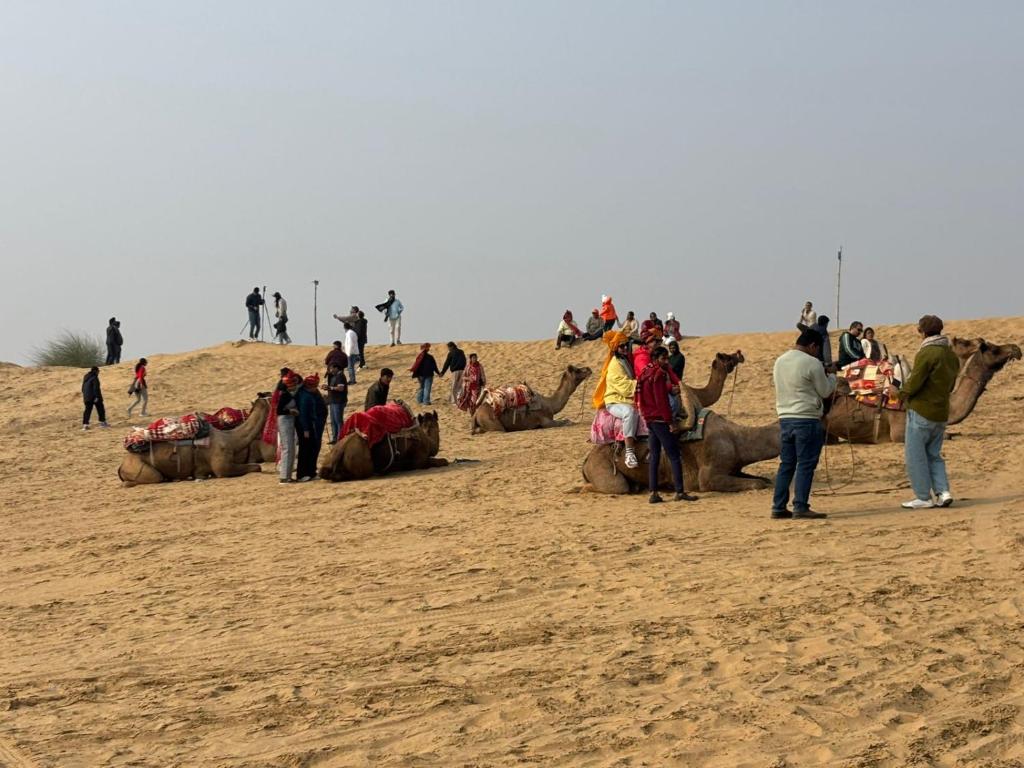 een groep mensen die rond dieren in het zand staan bij Raisar Desert Camp in Jāmb