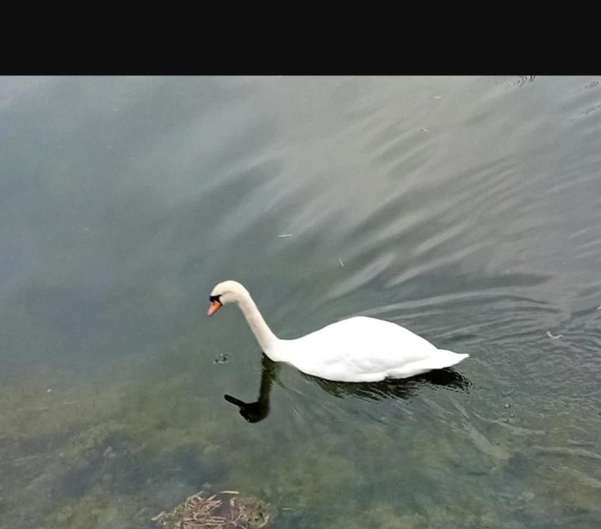 Galería fotográfica de Nice Place by canal en Dublín