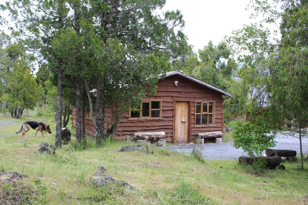 Zvířata v chaty nebo okolí