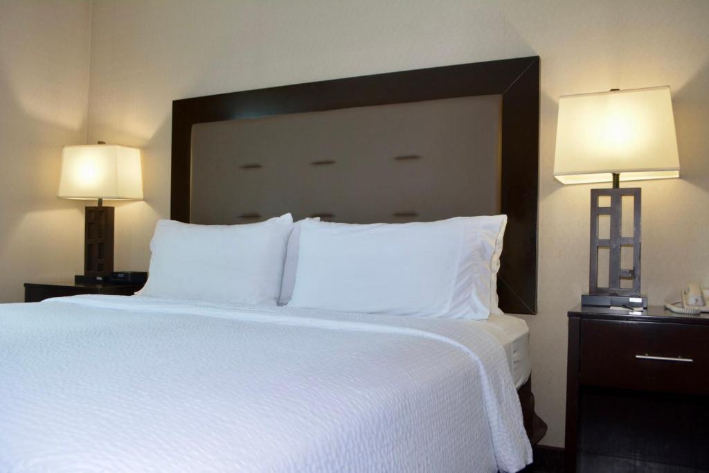 Holiday Inn Budd Lake - Rockaway Area by IHG photo