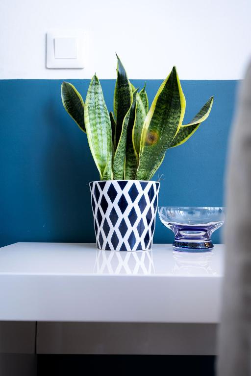 La Halte Montaigne - 12