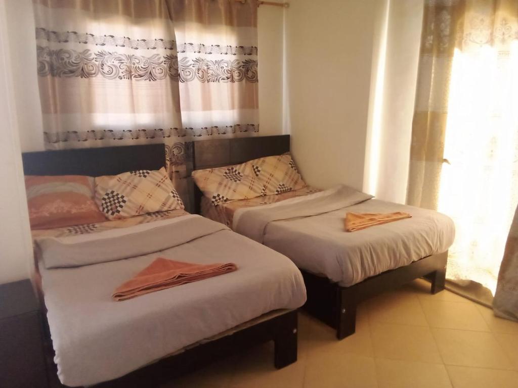 deux lits jumeaux dans une chambre avec rideaux dans l'établissement The Horizon House, à Louxor