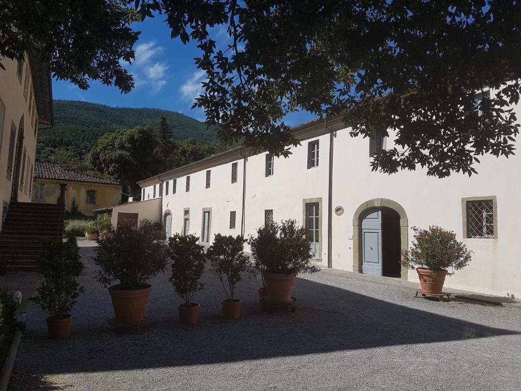 ein weißes Gebäude mit Topfpflanzen davor in der Unterkunft Agriturismo Il Frantoio Di Colle Alberto in Montale