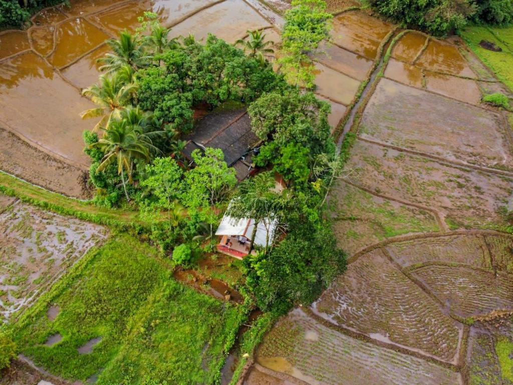 eine Luftansicht eines von Bäumen umgebenen Hauses in der Unterkunft Forest & Fields Sinharaja - In The Fields On The Edge in Deniyaya