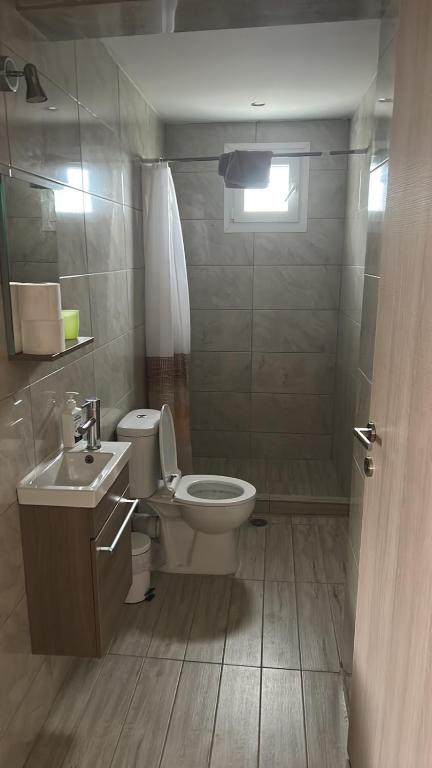 ein Badezimmer mit Toilette, Waschbecken und Dusche in der Unterkunft ΠΑΝΣΙΟΝ Μελίκη 