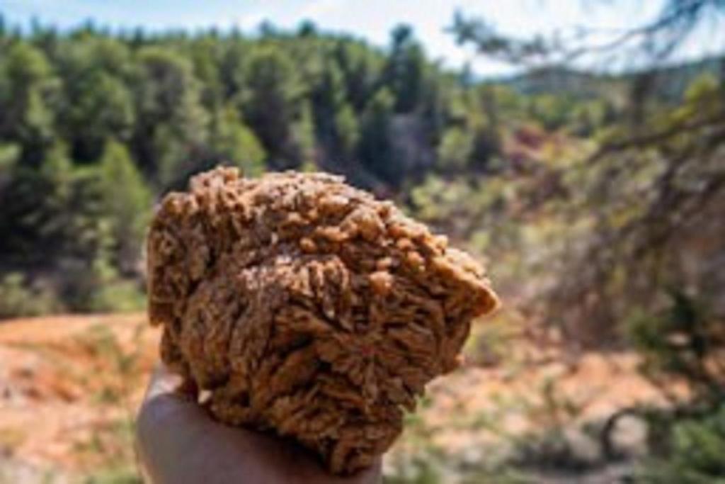 Příroda nedaleko prázdninového domu