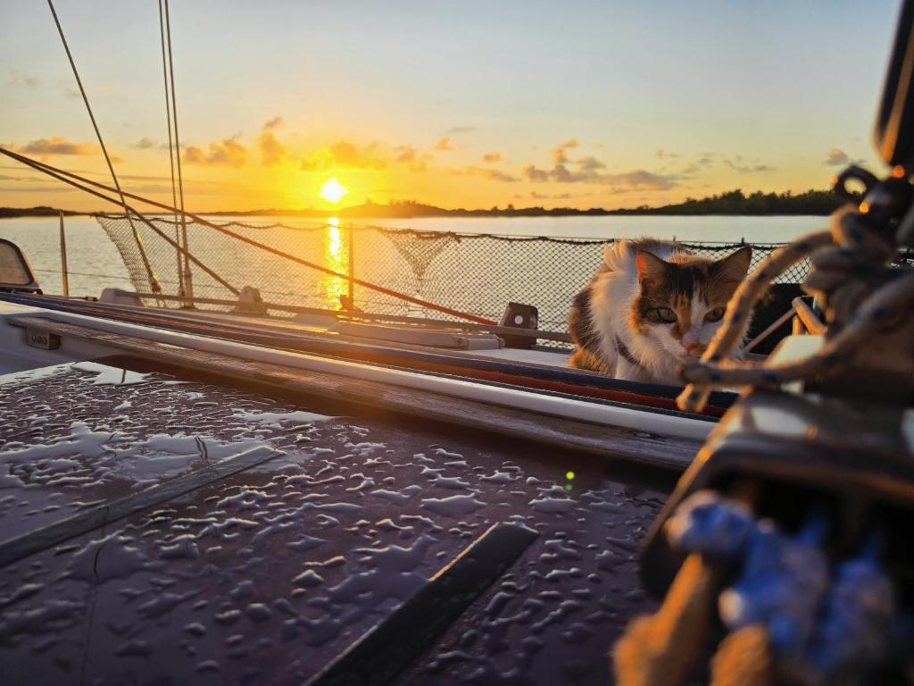 Voilier privé en pension complète, Hirifa - photo 11 - Nuku Hiva, Polynésie